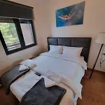 Vila Pekovic Blue A17 Sa Garazom-Zlatibor